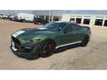 2022 Ford Mustang Shelby GT500 Fastback