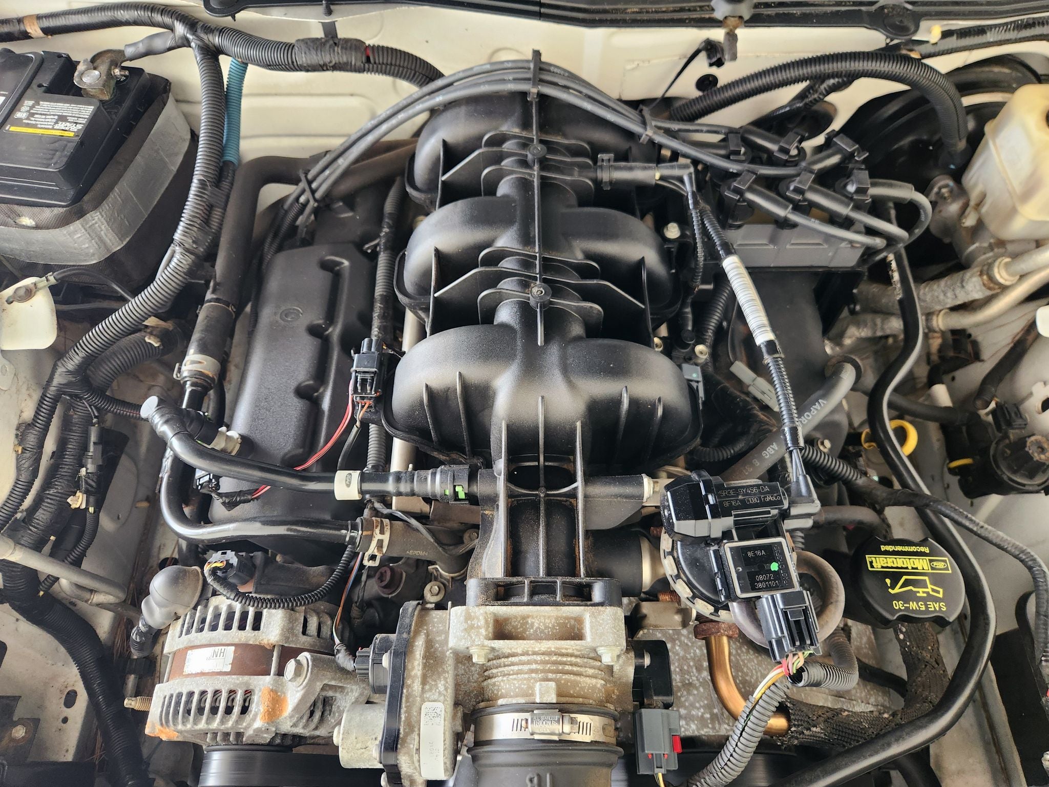 2009 Ford Mustang 2DR CPE