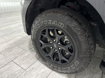 2024 Ford Expedition Timberline